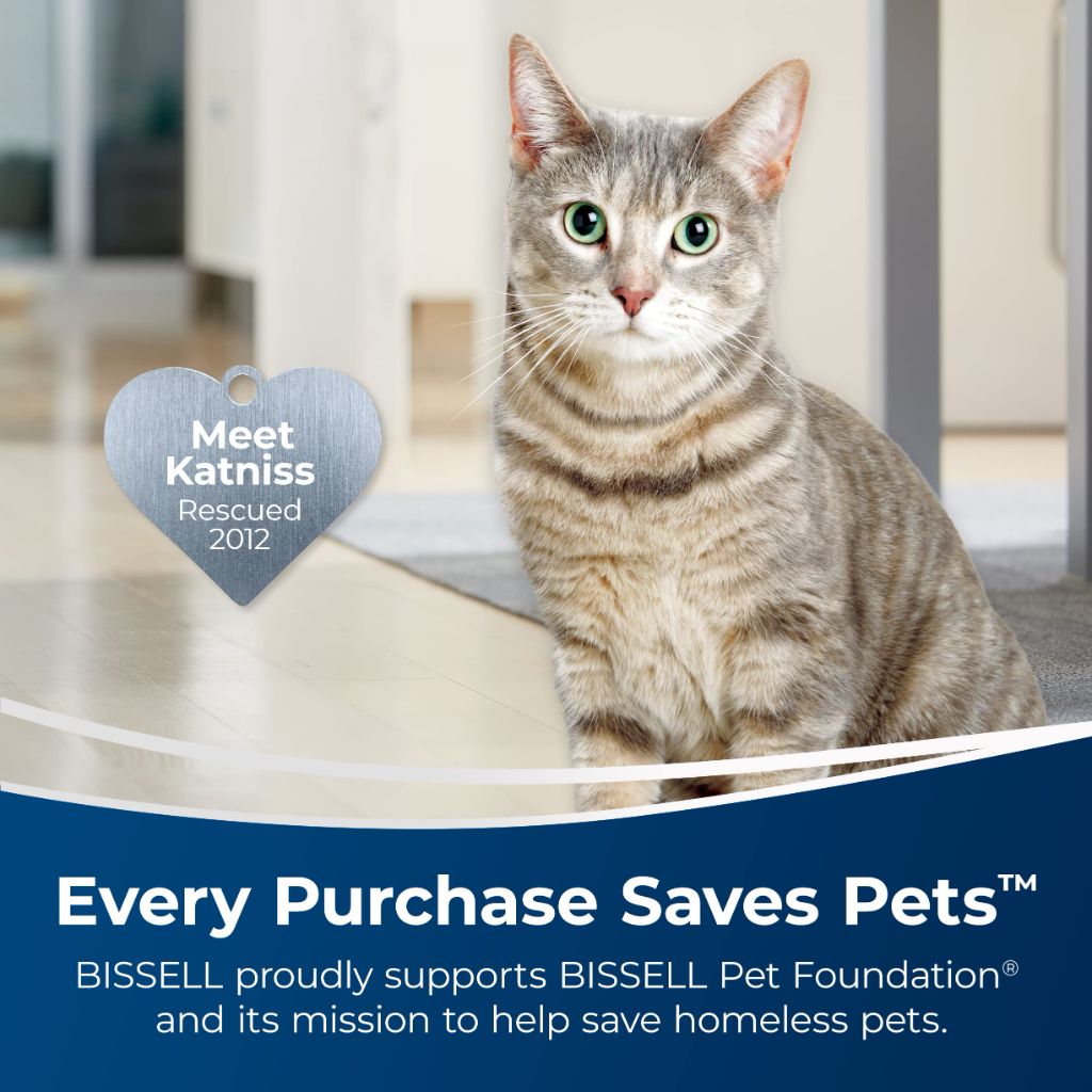 Bissell Simply Upright Carpet Cleaner Formula, 48 Fl Oz
