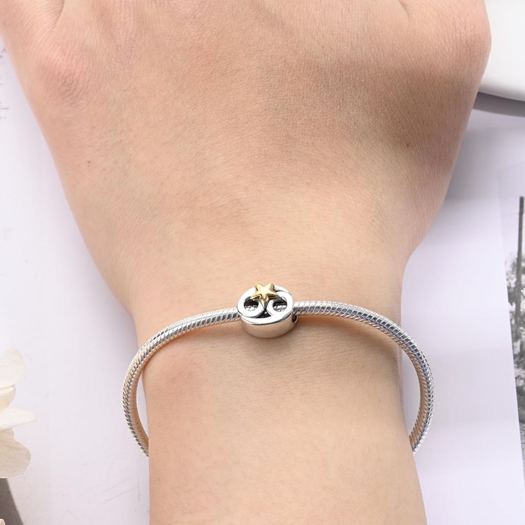 HUIPOJUE Silver Charms for Pandora Bracelets and Necklaces 12 Horoscope Pendant for Women Jewelry Gifts