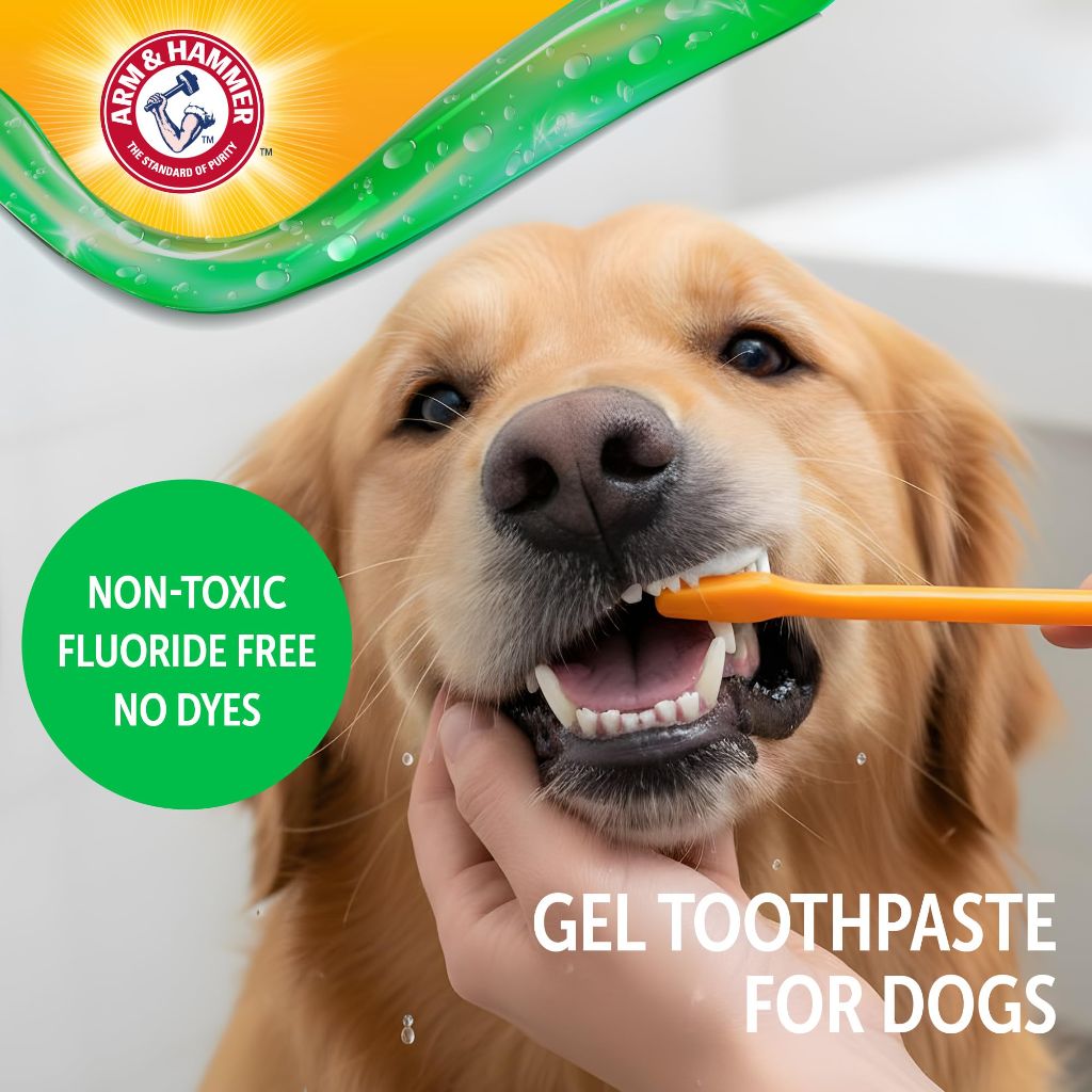 Arm & Hammer Complete Care Dental Gel Dog Toothpaste, Chicken Flavor, 2.5 Oz