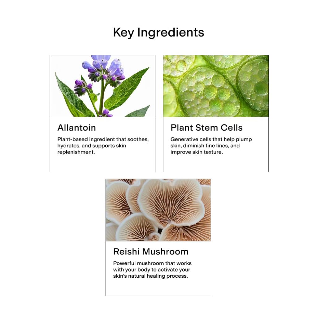CLEARSTEM - CELLRENEW - Collagen Stem Cell Serum - 1 fl oz / 29ml