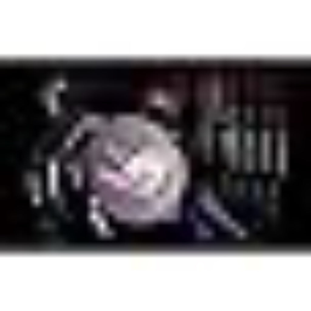 ASUS ROG Strix LC II 240 All-in-one AIO Liquid CPU Cooler 240mm Radiator, Intel LGA1700, 115x/2066 and AMD AM4/TR4 Support,2x120mm 4-pin PWM Fans