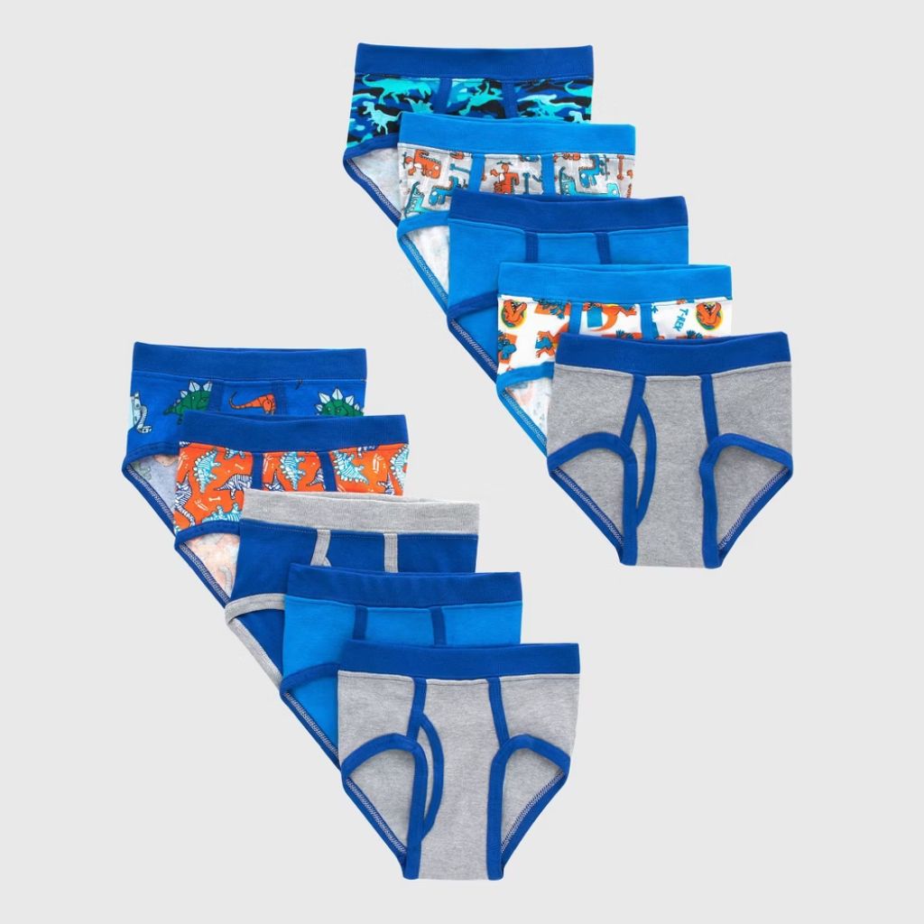 Hanes Boys' 100% Cotton, Tagless, Full Waistband Elastic Brief Underwear - Blue, Size 4T (10 Pairs)