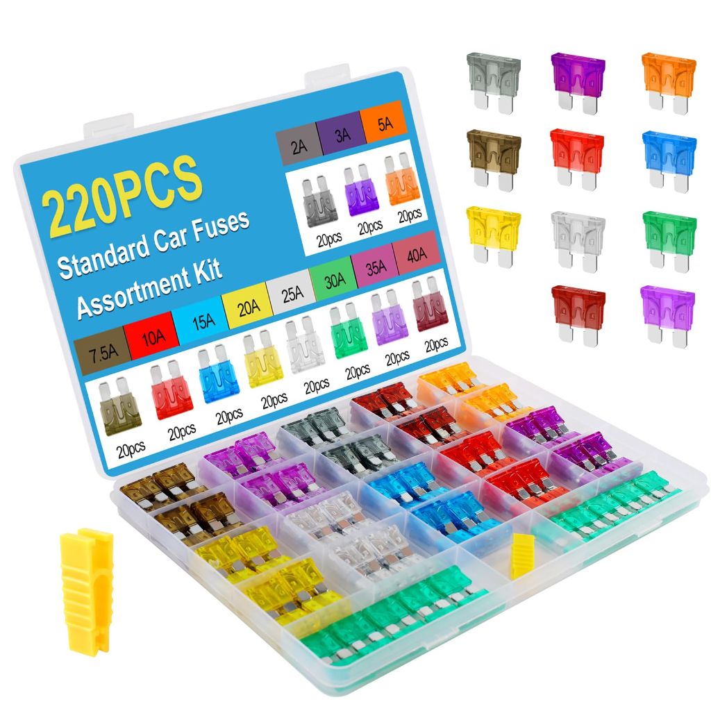 Giwiemi 220Pcs Standard Fuse Kit with 11 Sizes (2A - 40A)