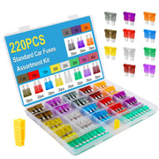 Giwiemi 220Pcs Standard Fuse Kit with 11 Sizes (2A - 40A)
