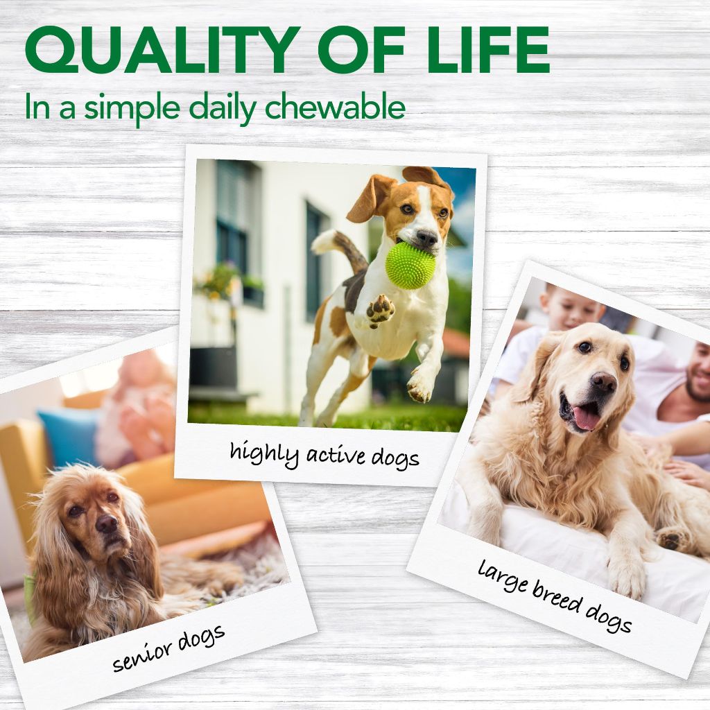 Vet’s Best Dog Pain Relief Supplement, 150 Count
