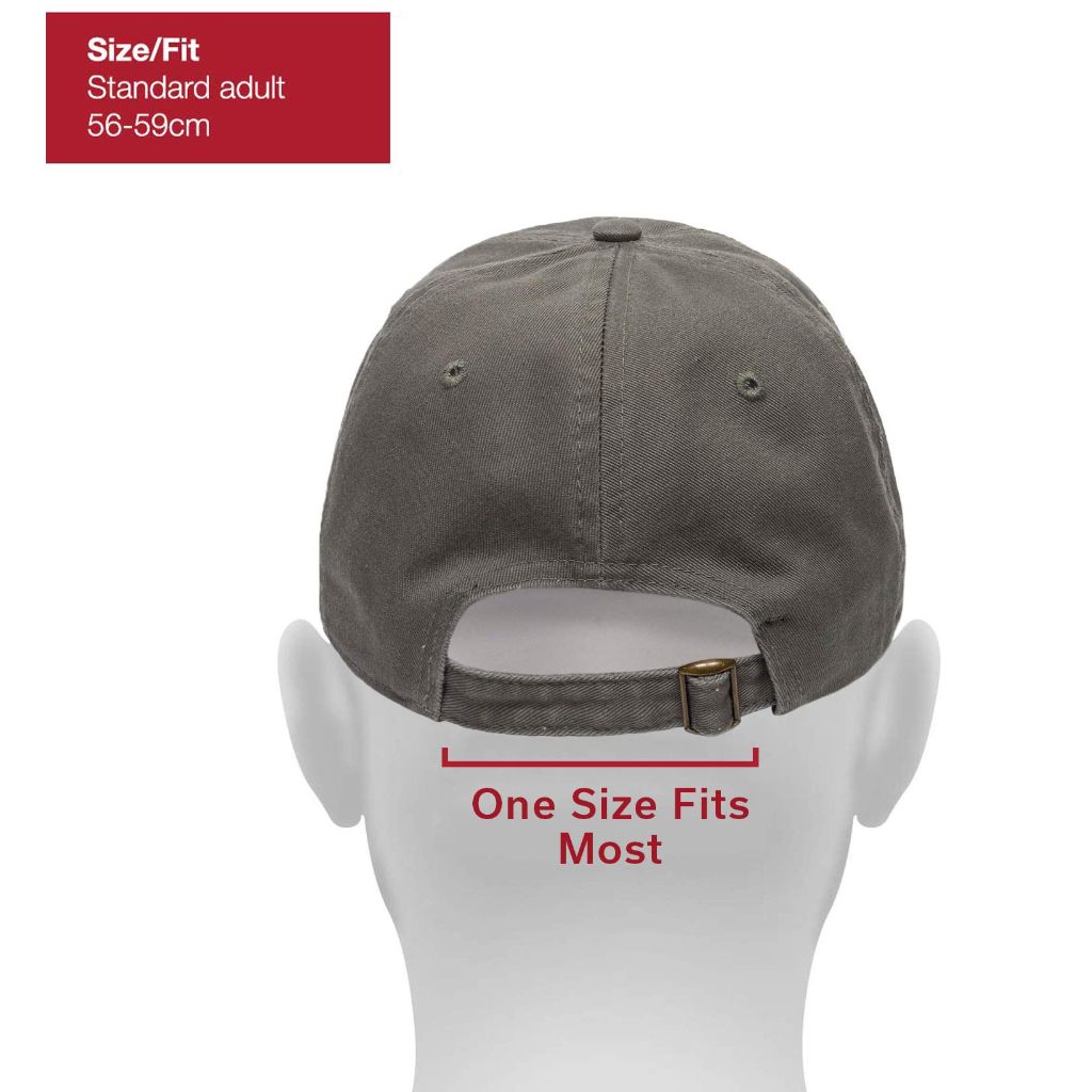 Outdoor Cap unisex adult Mountain Dad Hat, Olive, One Size US
