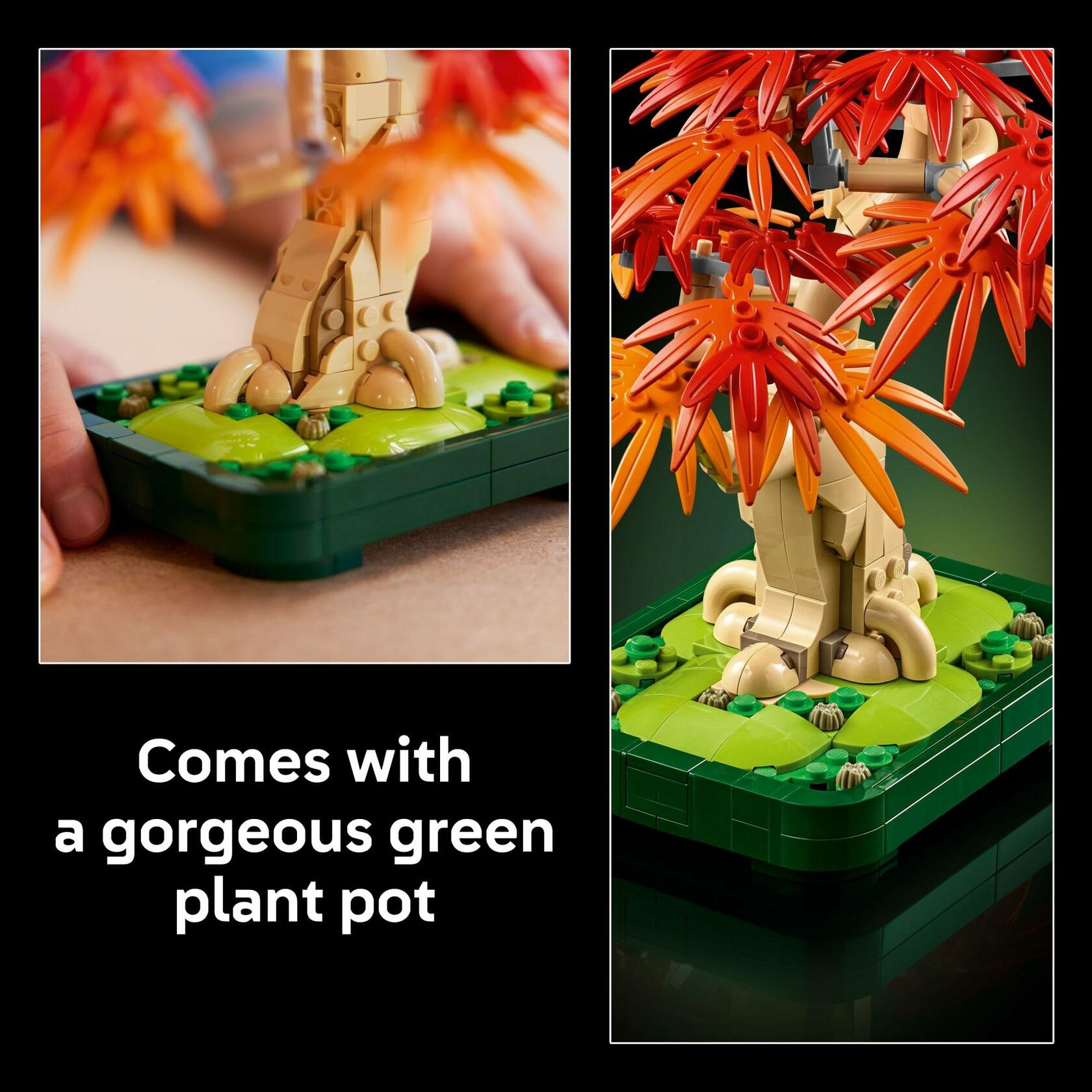 LEGO Botanicals Japanese Red Maple Bonsai Tree Building Set 10348 - Ages 18+ - 474 Pieces (Damaged Box)