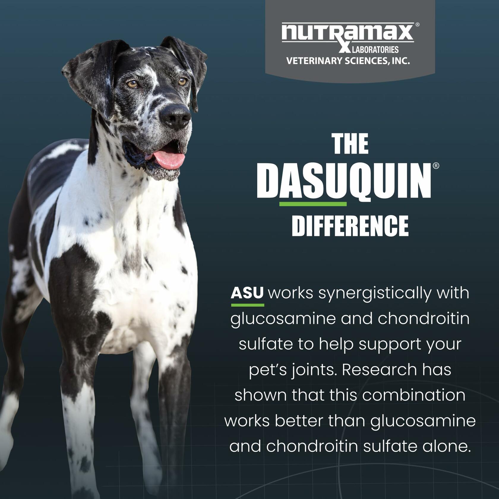 Nutramax Laboratories Dasuquin with MSM Joint Supplement for Large Dogs (60+ lbs) - 150 Soft Chews