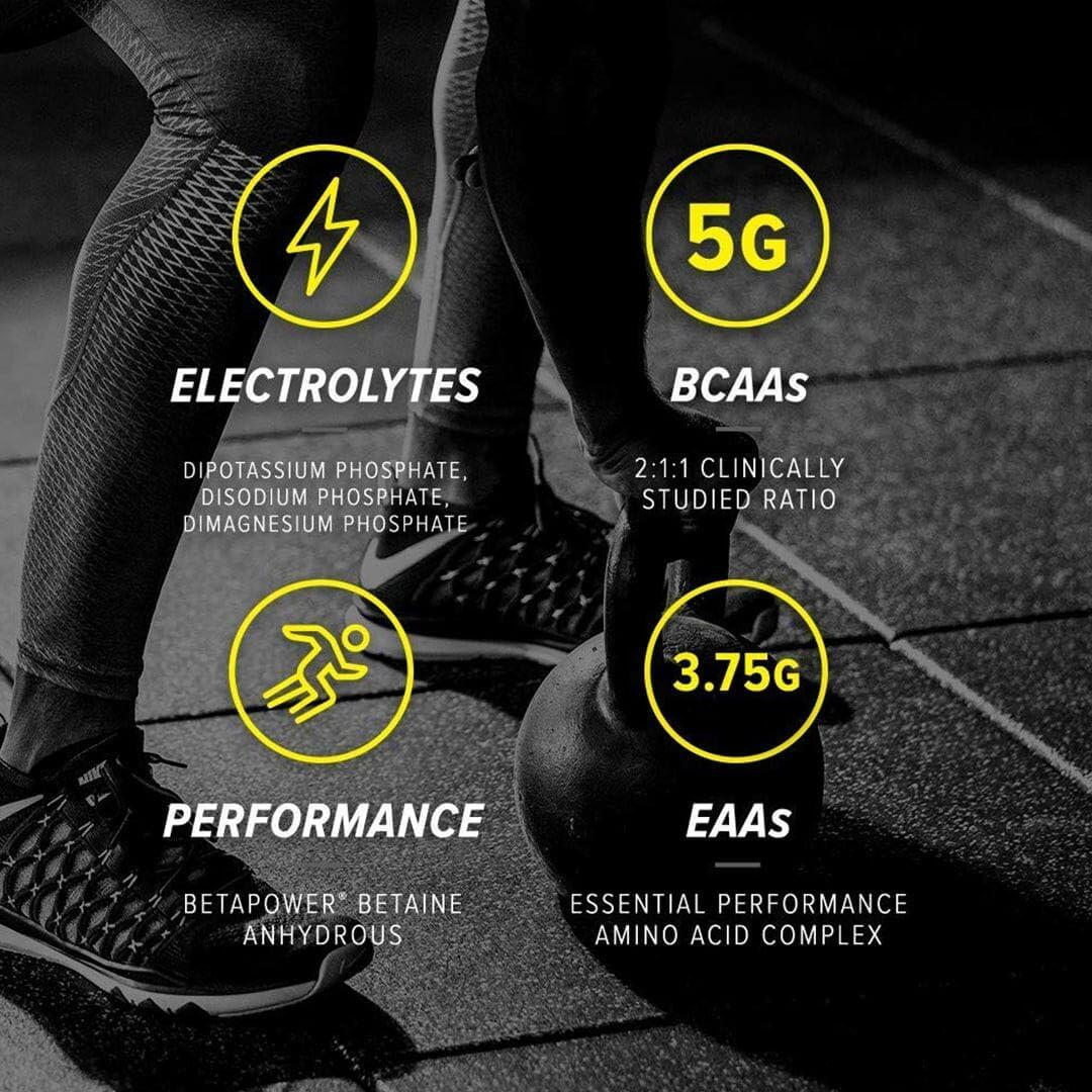 Cellucor Alpha Amino Performance BCAAs Powder, Icy Blue Razz, 30 Servings