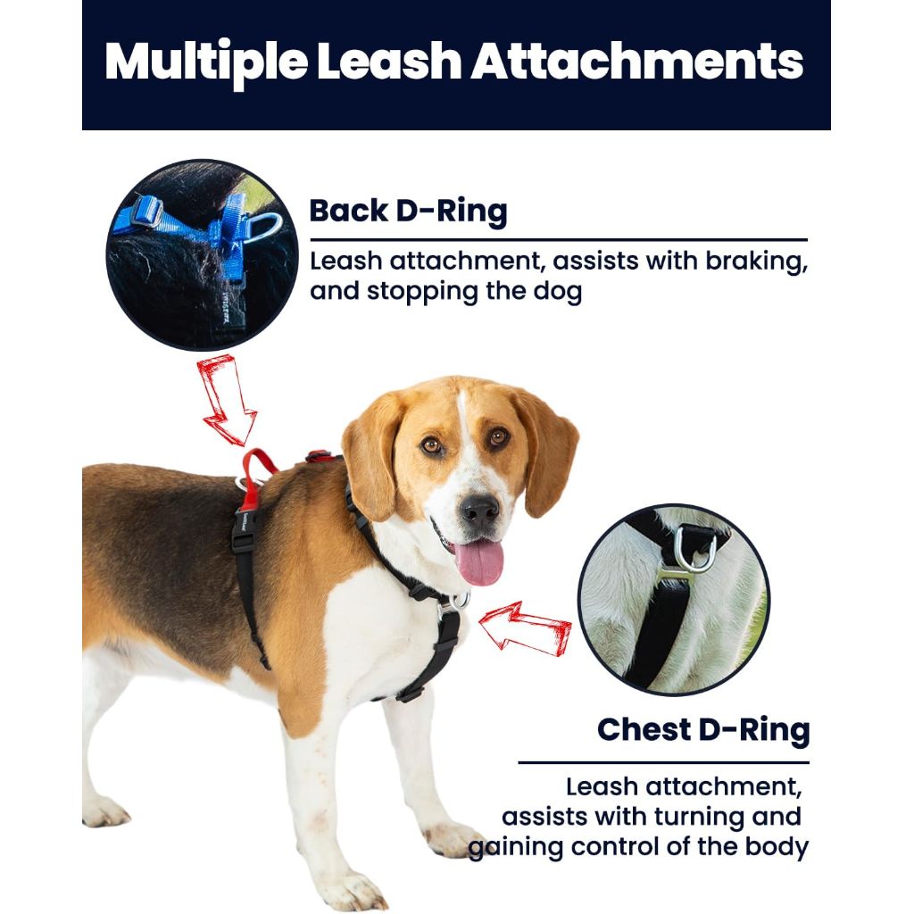 LufeLux Non-Restrictive Dog Harness Medium No Pull Harness, Blue/Black