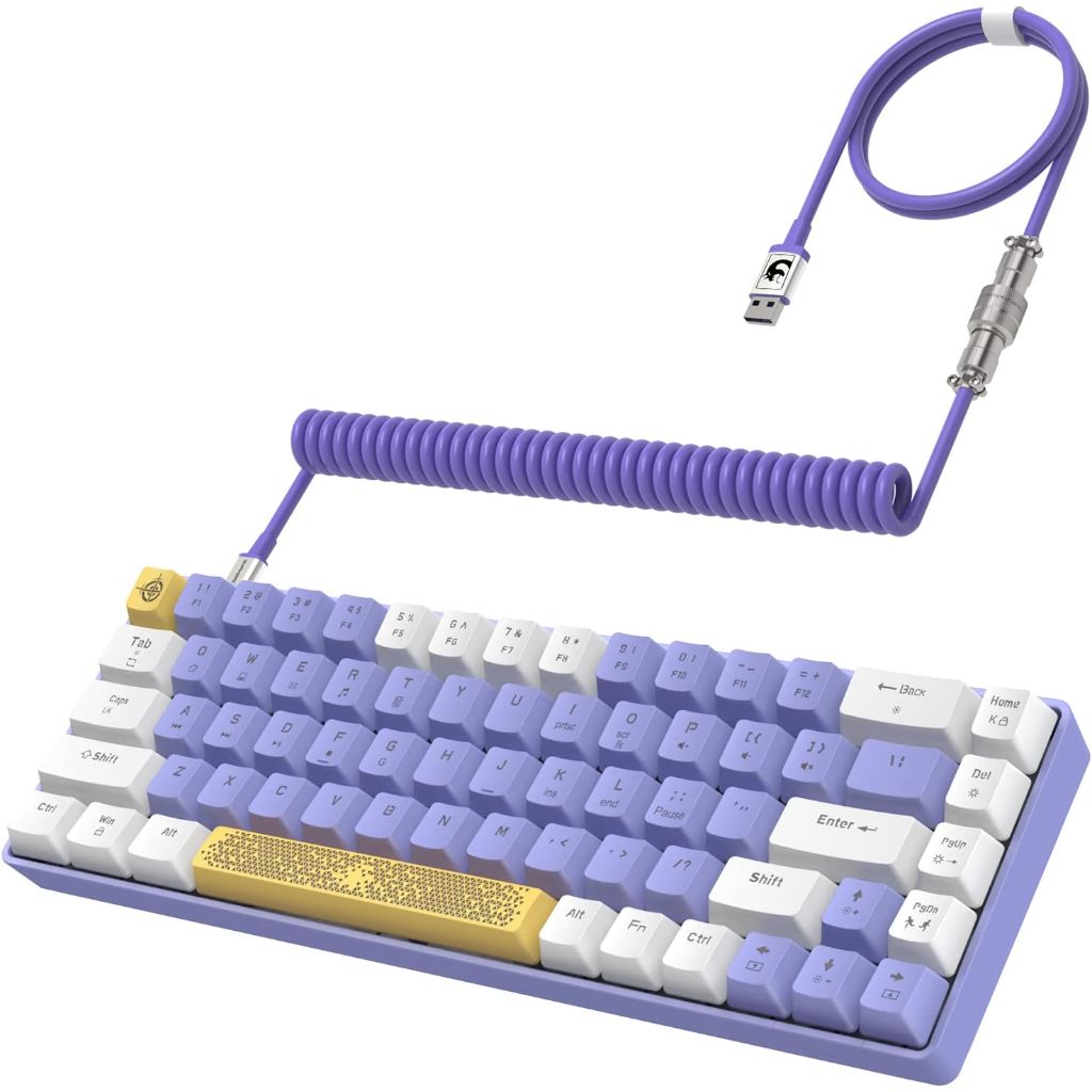 T8 60% Mechanical Gaming Keyboard,68 Keys TKL Compact Layout Mini Wired Keyboard,18 Chroma RGB Backlit, Pro Custom Coiled USB-C Cable,for PC,Mac,PS4,Xbox-Purple