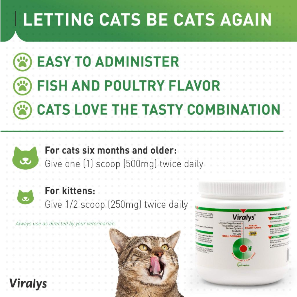 Vetoquinol Viralys Daily L-Lysine Powder for Cats and Kittens, Fish Flavored Lysine  Health, 100gm