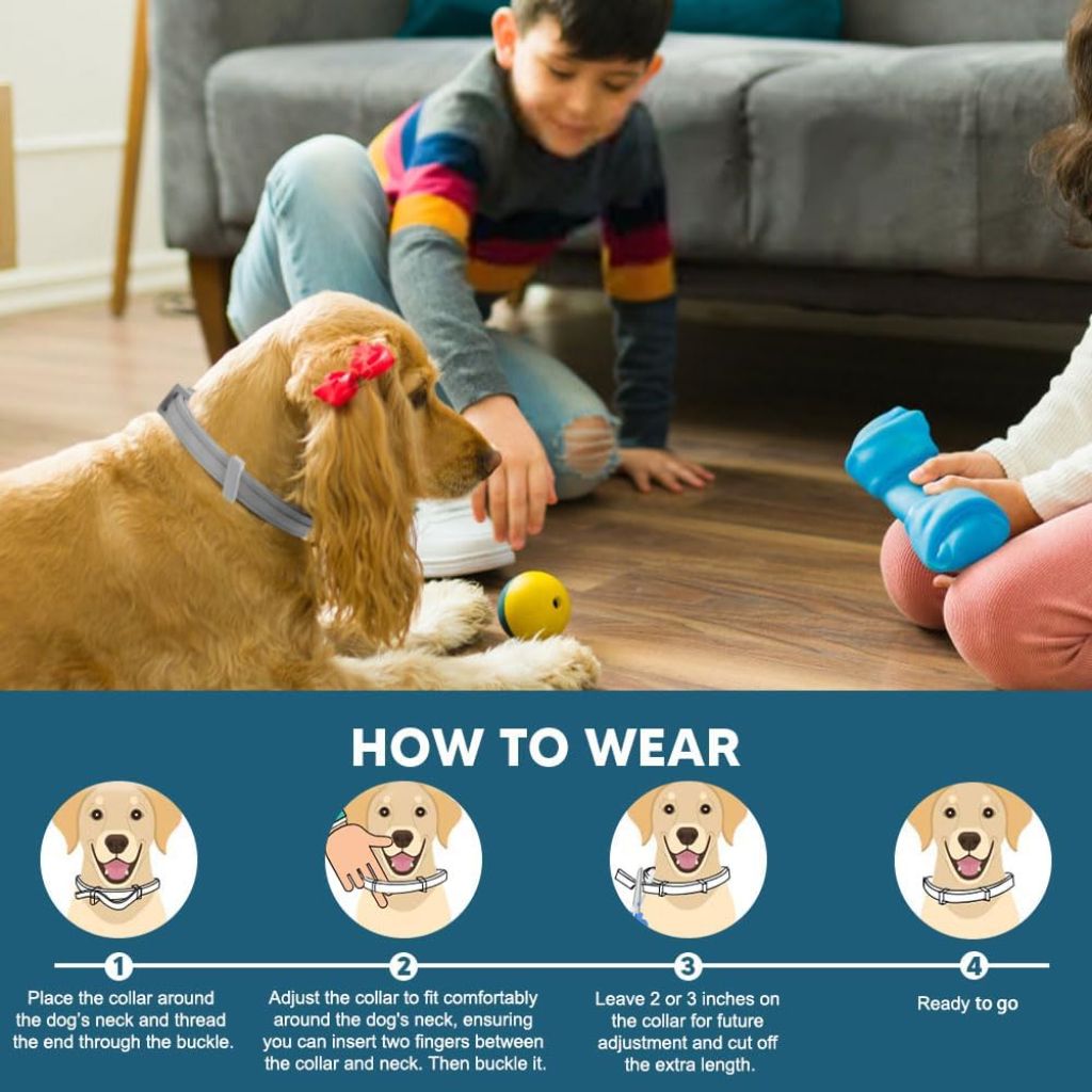Collar for Dogs, Dogs Collar, 8 Months Protection, Adjustable Safe Dog Collars, Naturally, Effectively-2 Count