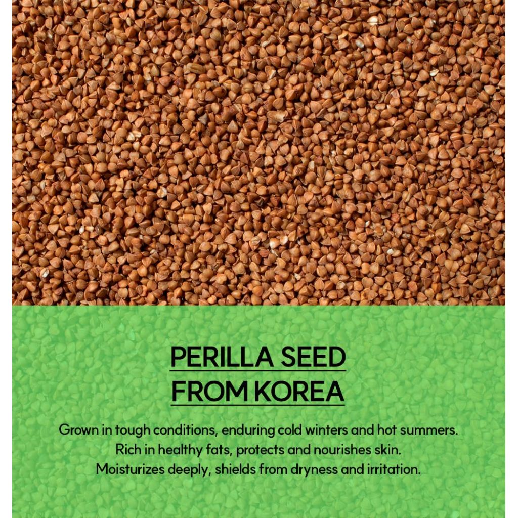 ooah seoul FLAWLESS TODAY Pore Refining Face Mask | Korean Skincare for Oily, Acne-Prone & Textured Skin | Charcoal & Perilla for Pore Tightening | 120ml 4.05fl.oz