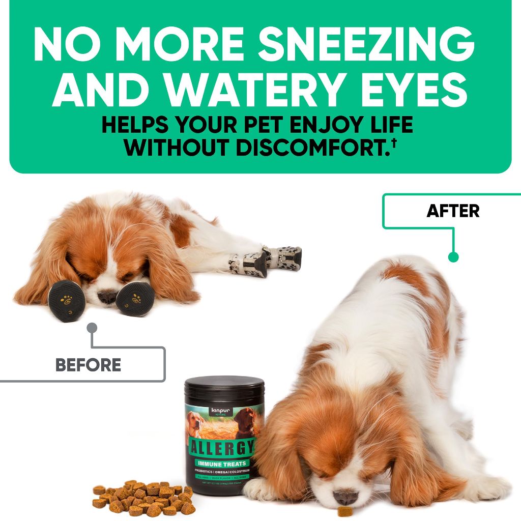 Natural Dog Allergy Chews for Dog Itch - 180 Anti Itch Immune Treats for Dogs Licking Paws, Antihistamine