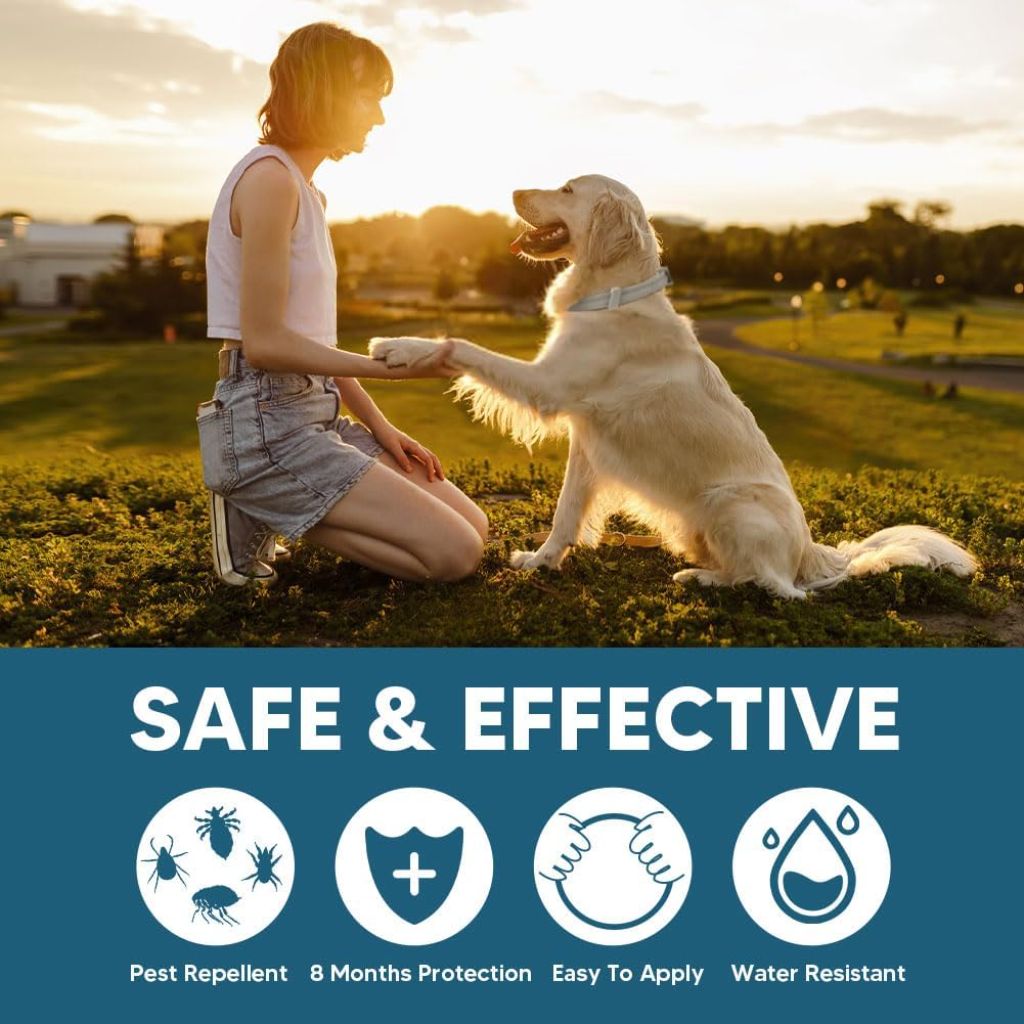 Collar for Dogs, Dogs Collar, 8 Months Protection, Adjustable Safe Dog Collars, Naturally, Effectively-2 Count
