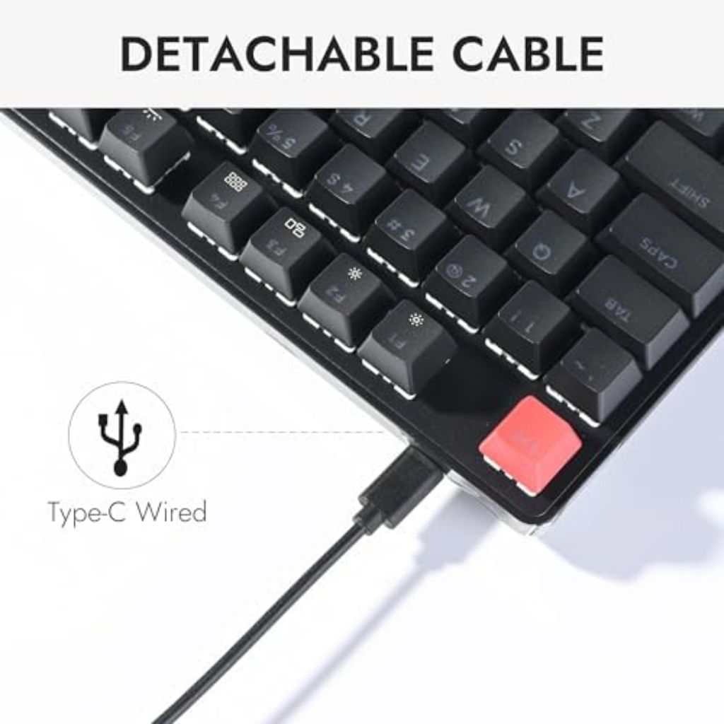 LEMOKEY X1 Wired Mechanical Keyboard, QMK Programmable TKL Layout with Pre-Lubed Tactile Switch
