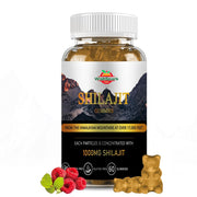 Shilajit - Pure Himalayan Shilajit Gummies 1200mg with Chaga, (60) Gummies Raspberry Flavor