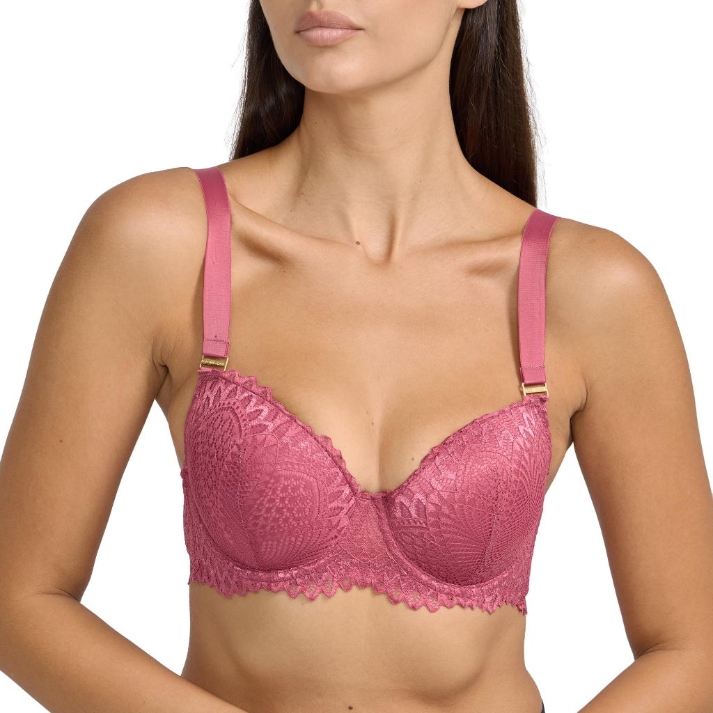 BGBGMaxazria Women's Luxe Lace 2-Pack Push Up Bra, Dry Rose, 36C