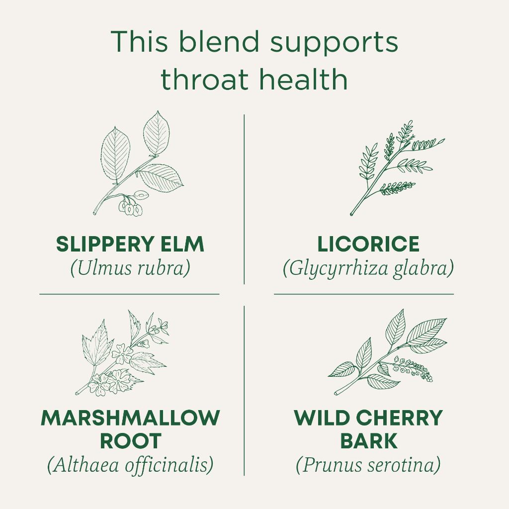 Traditional Medicinals Tea, Organic Throat Coat, Supports Throat Health, 96 Tea Bags (6 Pack)