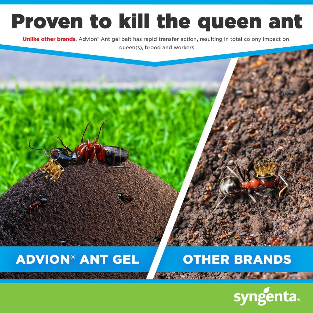 Syngenta Advion Ant Gel Station Insecticide, Ready-to-Use Gel Bait with Indoxacarb - 1 Box (3 Total Stations)