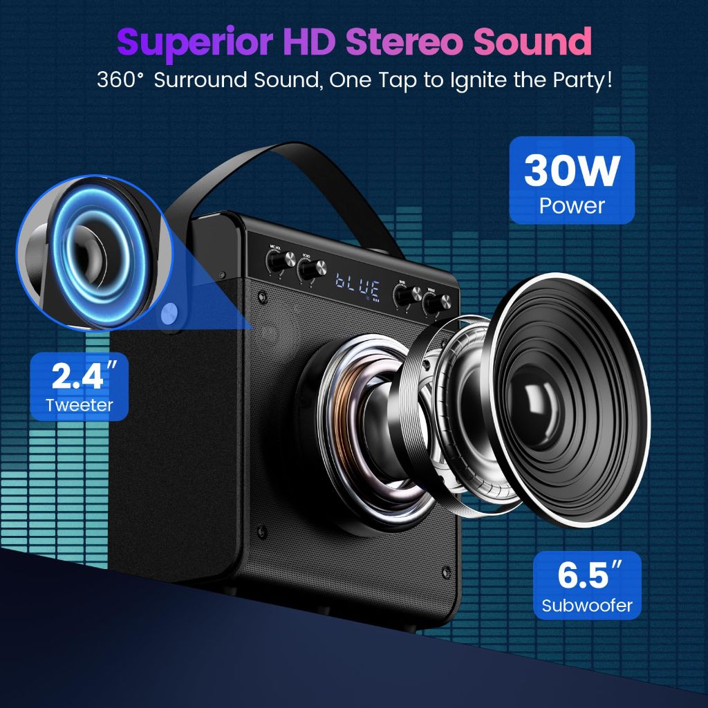 Karaoke Machine, Portable Bluetooth Speaker with 2 Wireless Microphones