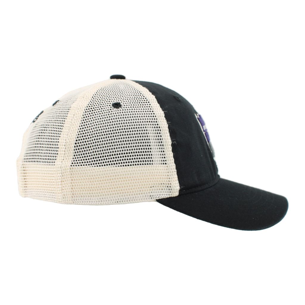 Sacramento Kings NBA Officially Licensed Adjustable Snapback Hat University Icon Team Color