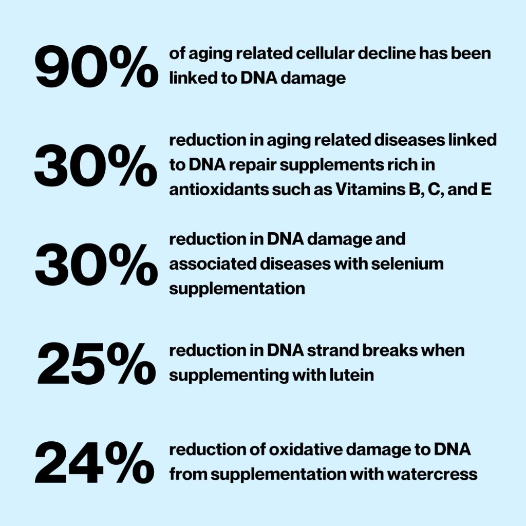 Celly DNA Defense | Longevity Supplement for Healthy Aging and Cellular Health - 30 Servings
