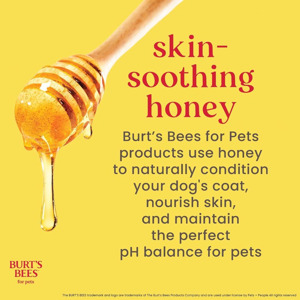 Burt's Bees for Pets Deodorizing Dog Shampoo with Apple and Rosemary, 16 Fl Oz