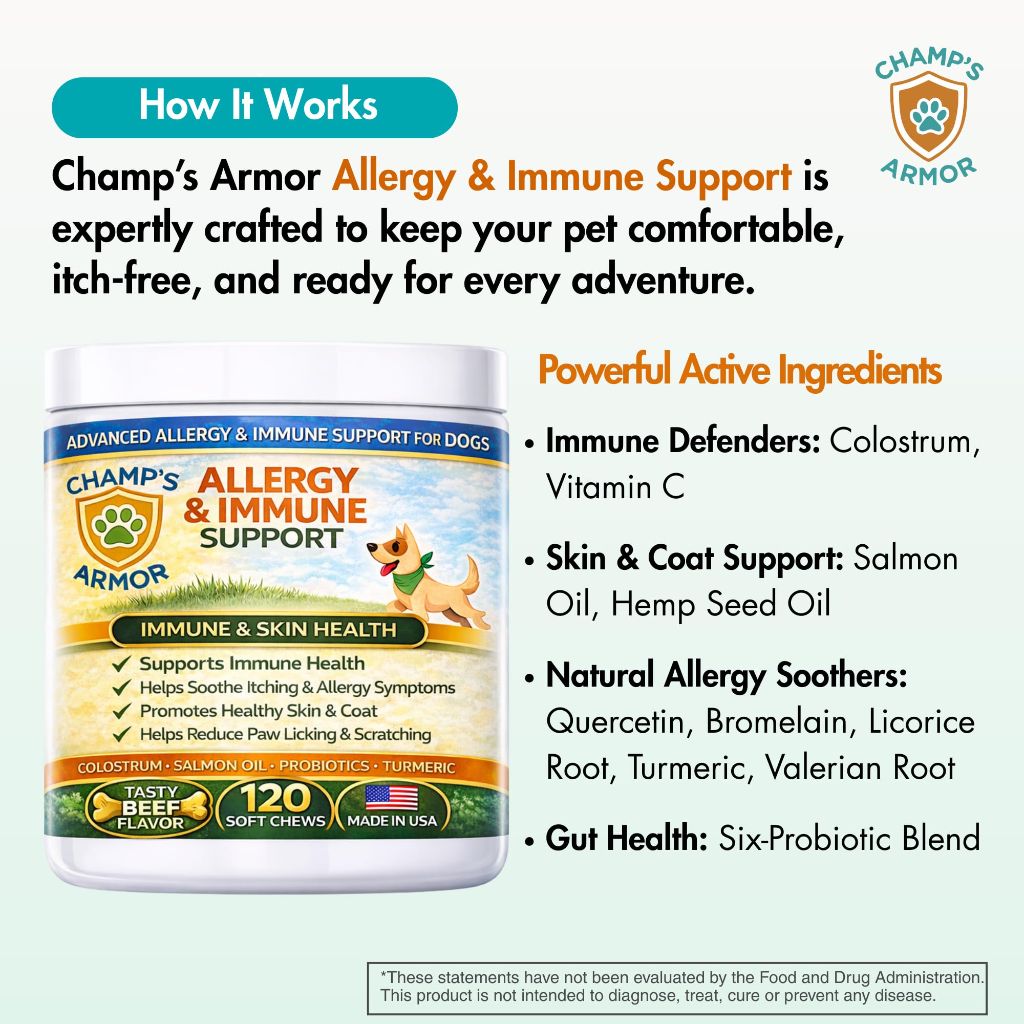 Allergy Relief for Dogs - Dog Itchy Skin & Dog Skin Allergies Treatment Chews - 120 Beef Flavor Soft Chews