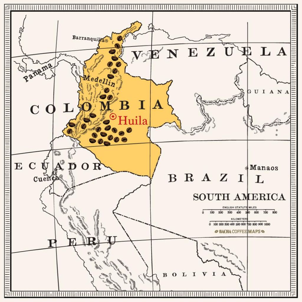 Bacha Coffee Colombia Magdalena Decaf Single Origin, Medium Dark Roast Specialty Coffee - 12 Drip Bags