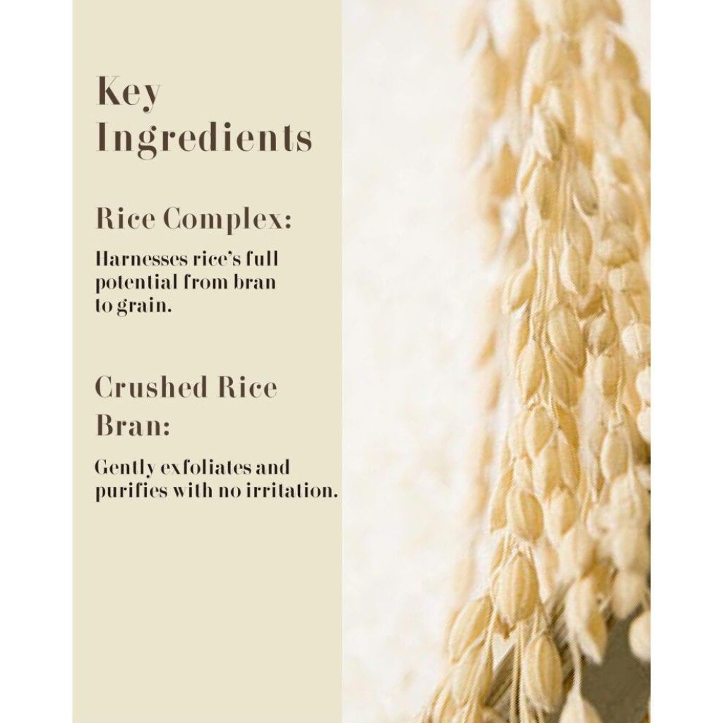 VEILMENT Rice Therapy Rice Bran Foam Cleanser (Pack of 1  5.1fl Oz) - Facial Deep Cleansing Foam for Oily Skin. Smooth Skin with Gentle Scru