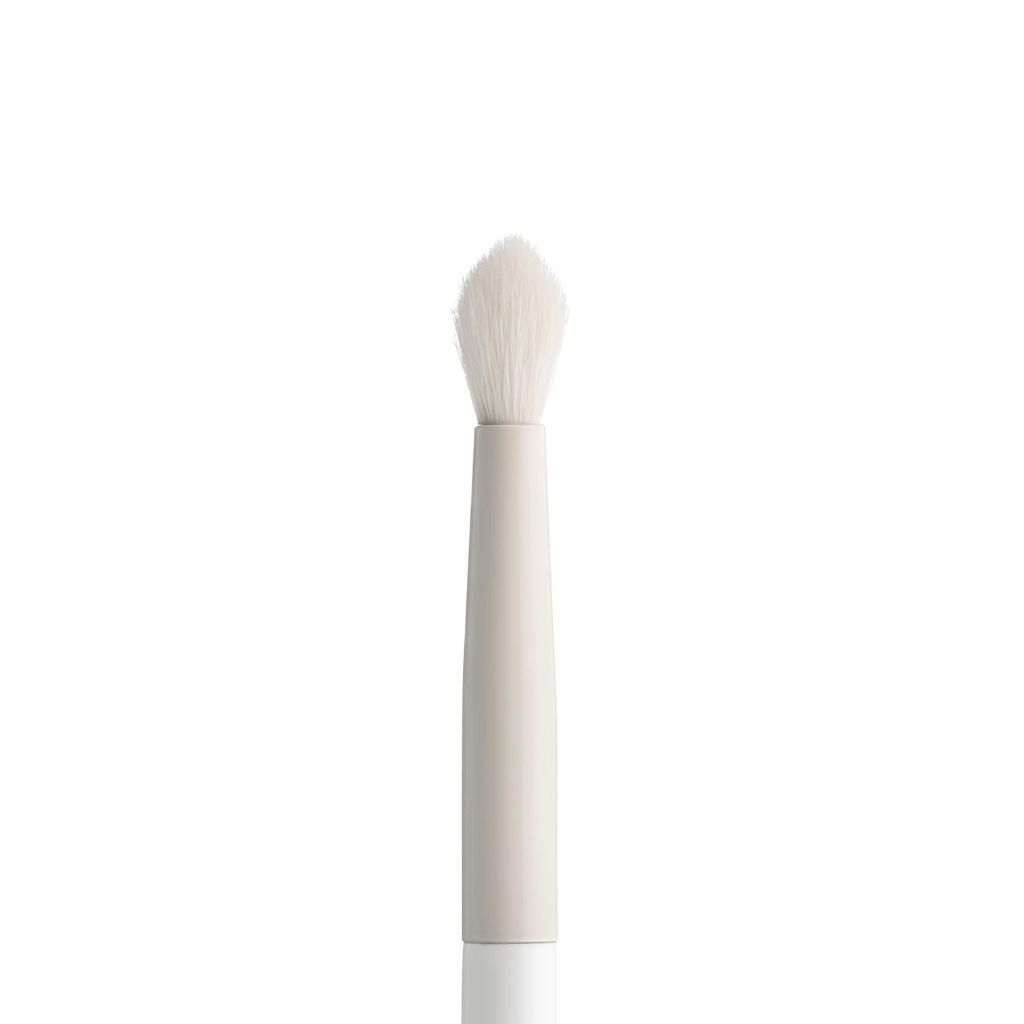 Wayne Goss Luna Brush Small Crease #6 Amazon Exclusive