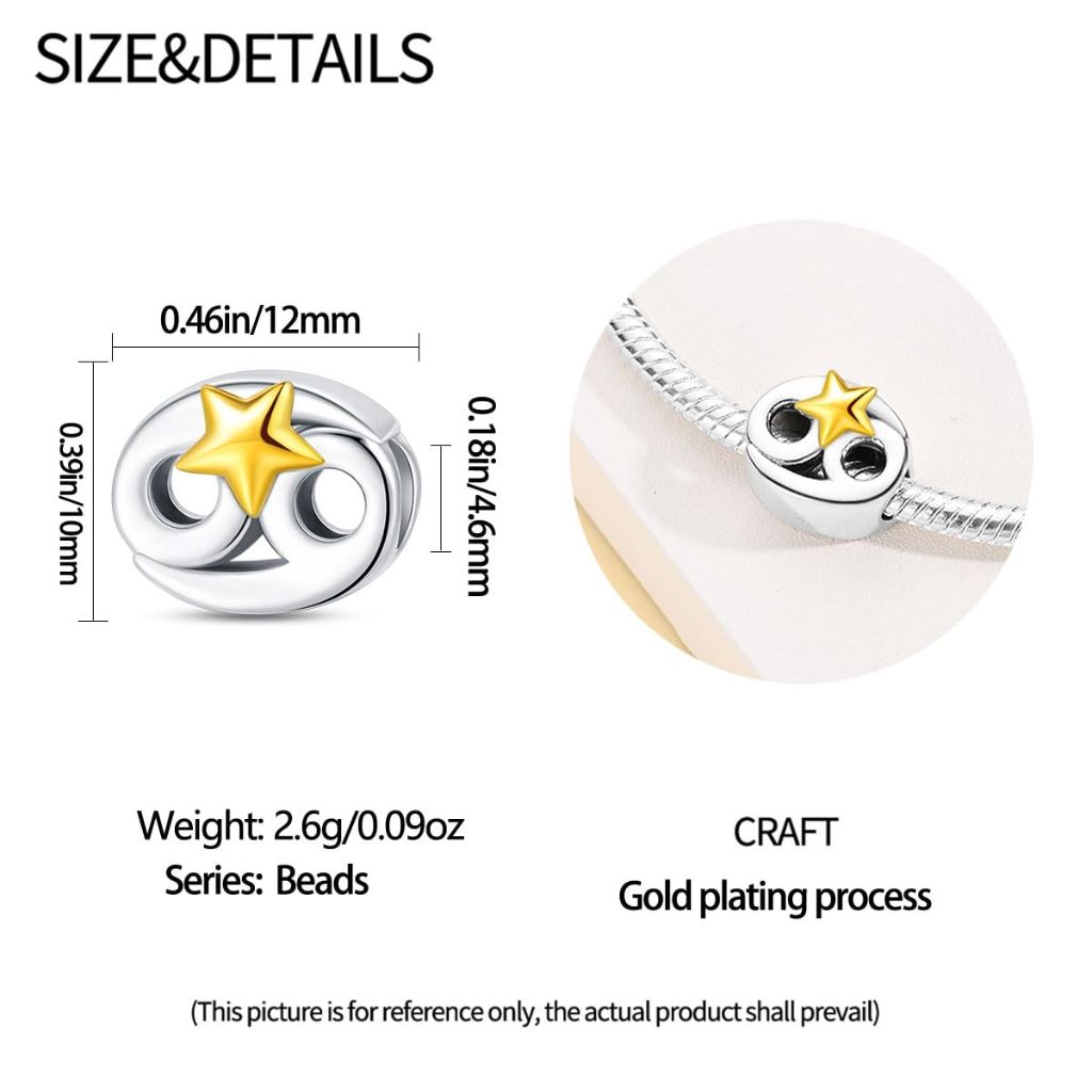 HUIPOJUE Silver Charms for Pandora Bracelets and Necklaces 12 Horoscope Pendant for Women Jewelry Gifts