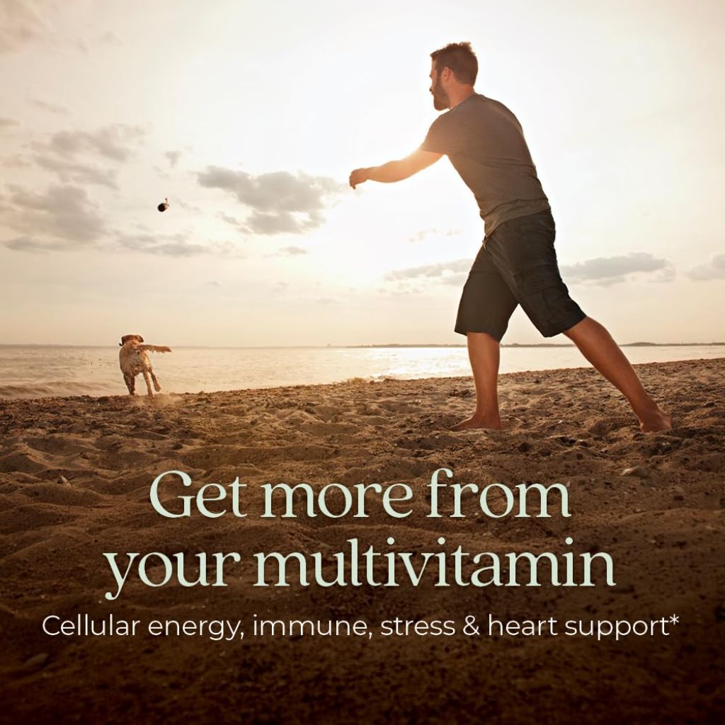 New Chapter Men’s Multivitamin, B6, Extra B12, D3, Vitamin C & Zinc | 72 Tablets