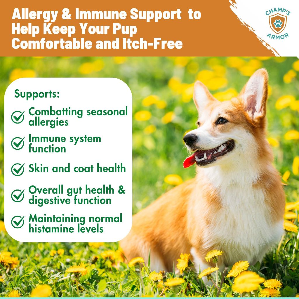 Allergy Relief for Dogs - Dog Itchy Skin & Dog Skin Allergies Treatment Chews - 120 Beef Flavor Soft Chews