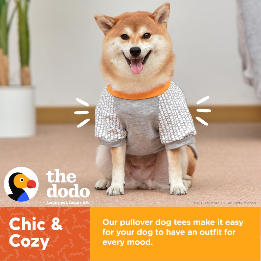 The Dodo Favorite Family Member Dog T-Shirt, Size Medium, Grey Dodo Print