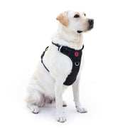 Pudiwind No Pull Dog Harness for Large Dogs, Black, L