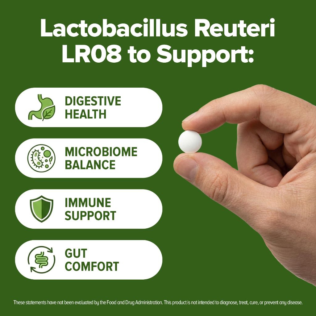 Lactobacillus Reuteri Probiotic 240 Tablets (4 Month Supply)