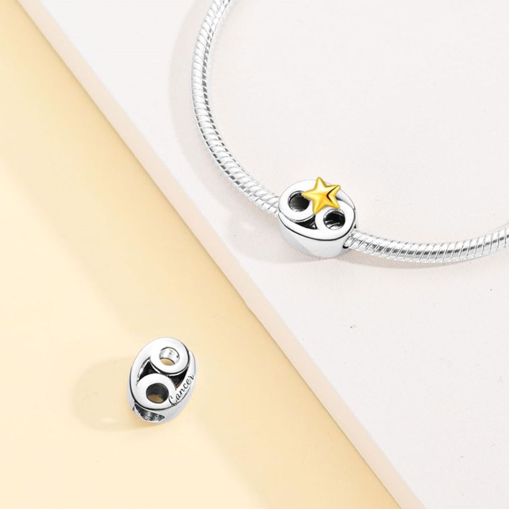 HUIPOJUE Silver Charms for Pandora Bracelets and Necklaces 12 Horoscope Pendant for Women Jewelry Gifts