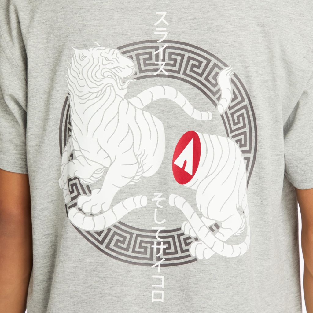 Airwalk Mens Short Sleeve Graphic T-Shirt