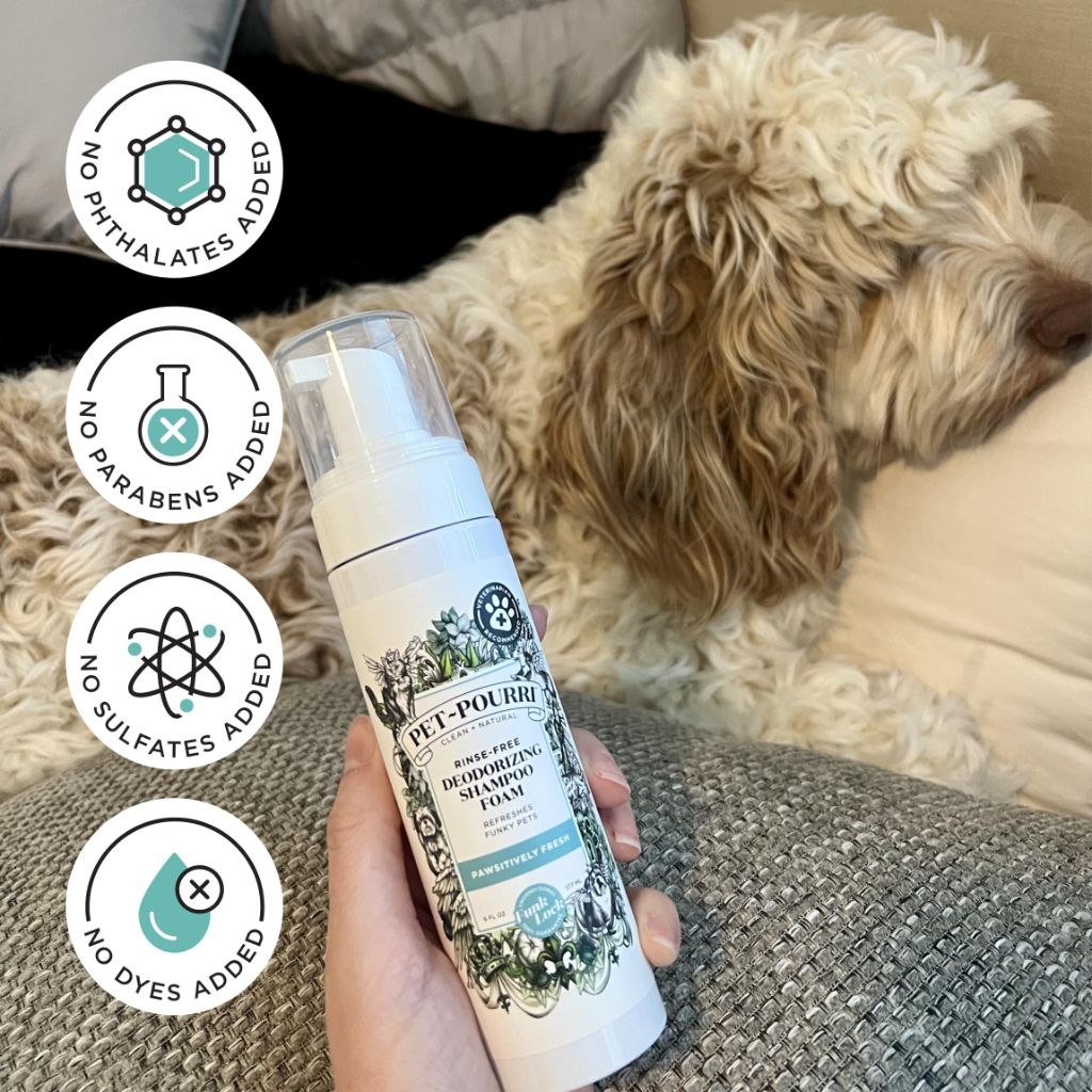 Poo-Pourri Rinse-Free Deodorizing Dry Shampoo for Dogs & Cats – Pineapple, Jasmine & Pear