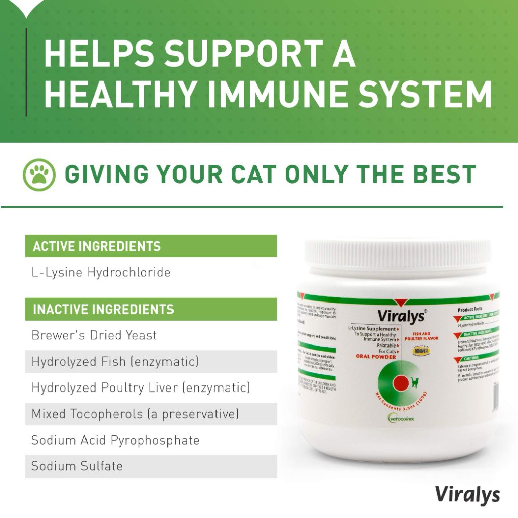 Vetoquinol Viralys Daily L-Lysine Powder for Cats and Kittens, Fish Flavored Lysine  Health, 100gm