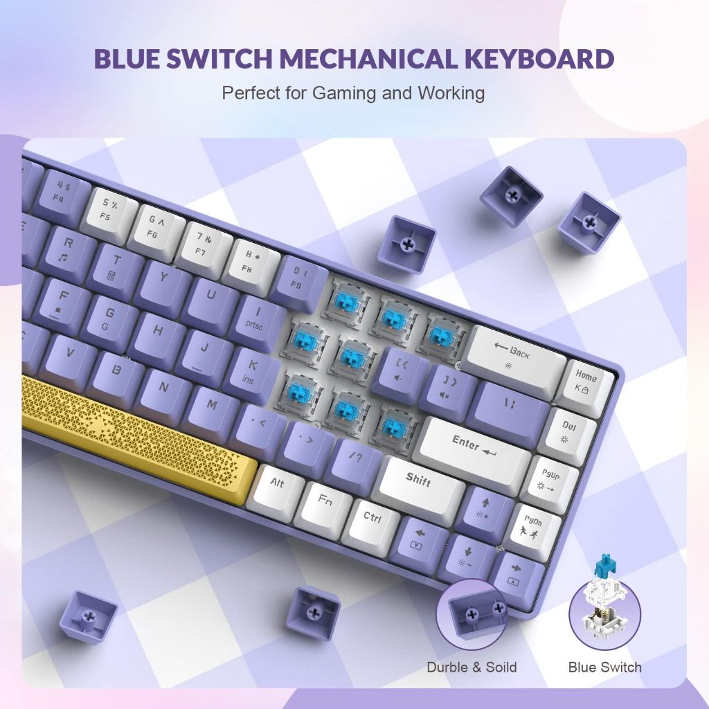 T8 60% Mechanical Gaming Keyboard,68 Keys TKL Compact Layout Mini Wired Keyboard,18 Chroma RGB Backlit, Pro Custom Coiled USB-C Cable,for PC,Mac,PS4,Xbox-Purple