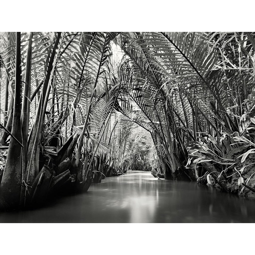 Enduring Spirit of Vietnam by Peter Steinhauer