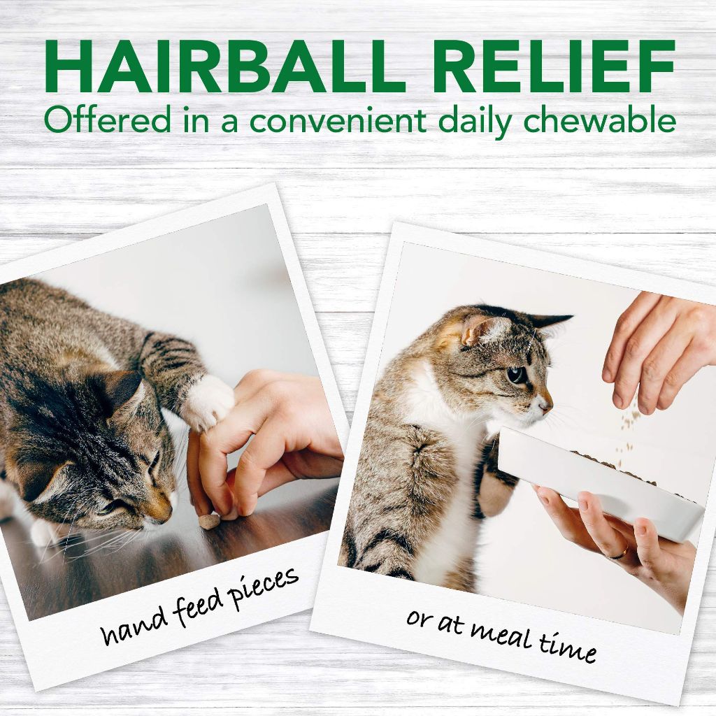 Vet's Best Cat Hairball Relief Digestive Aid| Vet Formulated Hairball Support Remedy | Classic Chicken Flavor | 180 Chewable Tablets