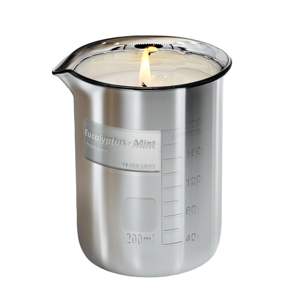 Eucalyptus Mint Scented Candles for Men - Natural Soy Candles | Christmas Gifts for Women Men | 7oz 40 Hours Burn Time
