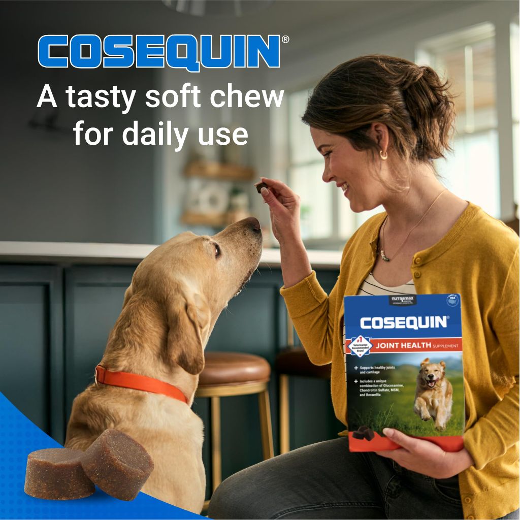 Nutramax Cosequin Maximum Strength Joint Health Supplement Soft Chews - 60 Count