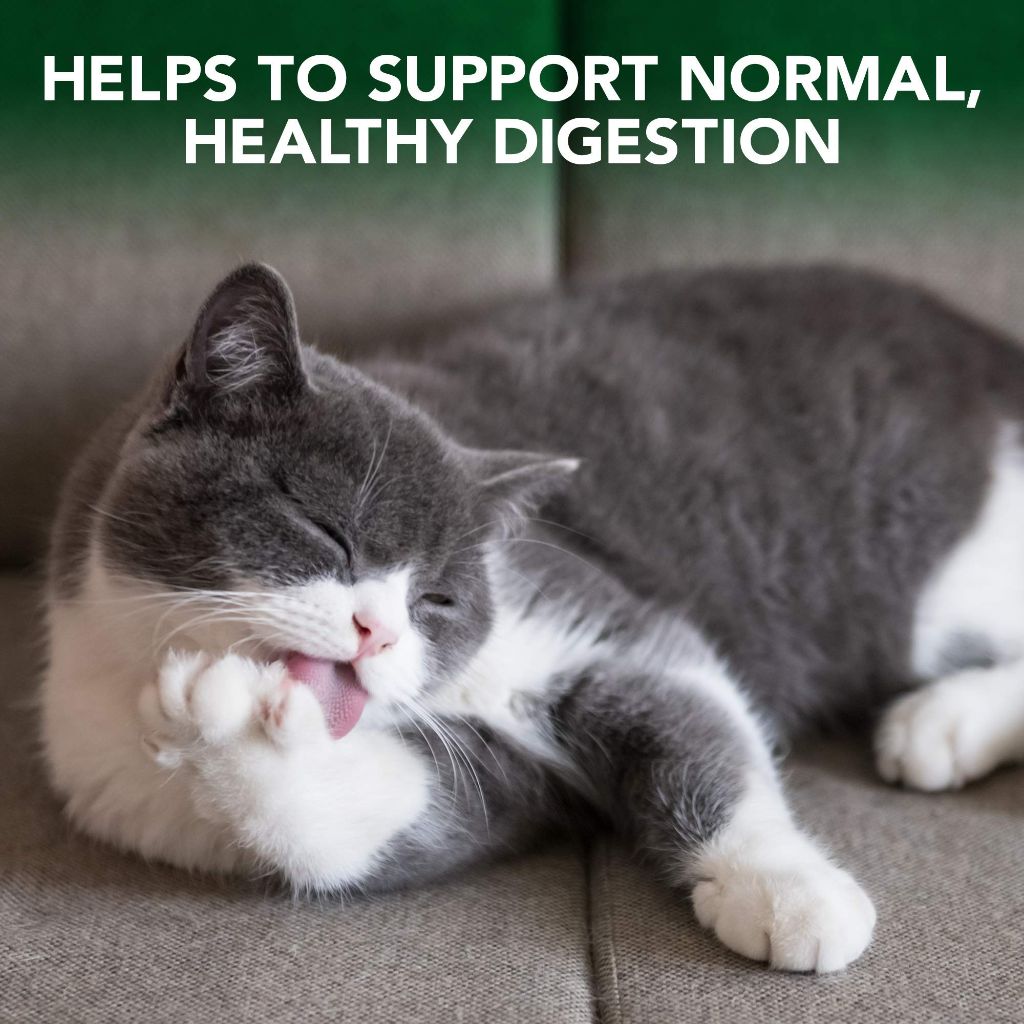 Vet's Best Cat Hairball Relief Digestive Aid| Vet Formulated Hairball Support Remedy | Classic Chicken Flavor | 180 Chewable Tablets