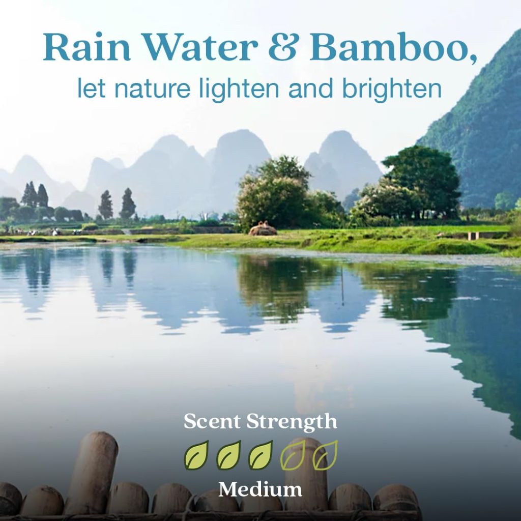 Enviroscent Non-Toxic Air Freshener Plug Hub® Warmer Refillable Kit, Rainwater & Bamboo Scent